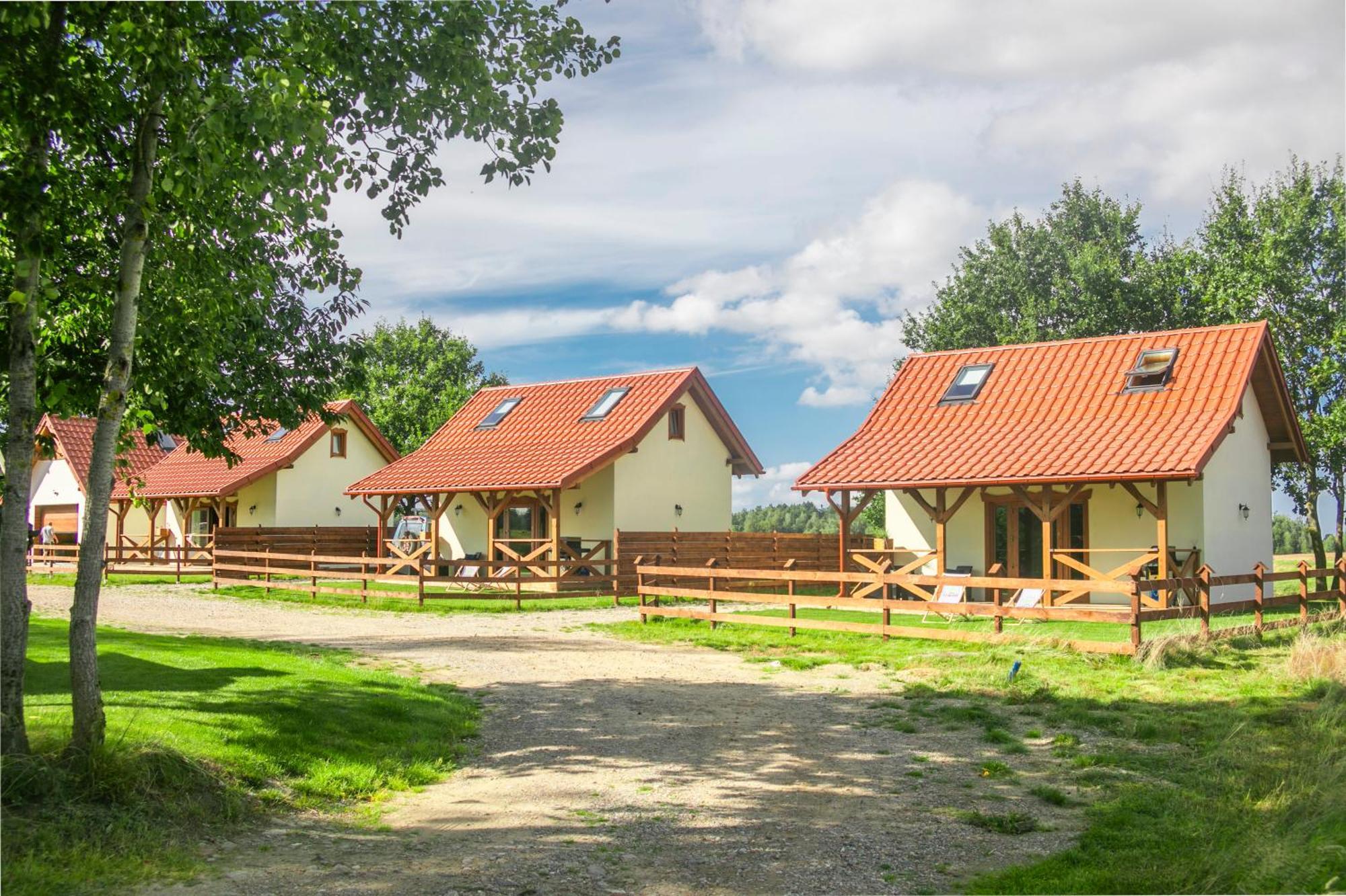 Ferienhaus Ostoja - Na Kaszubach, Sauna, Balia-jacuzzi, Plac Zabaw, Tyrolka , Dwa Boiska, Miejsce Na Ognisko, Grill Gazowy Lemany (Kartuzy)